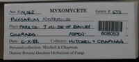 Image Associated With the Occurence